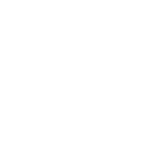 Myrtle Beach Destinations Logo